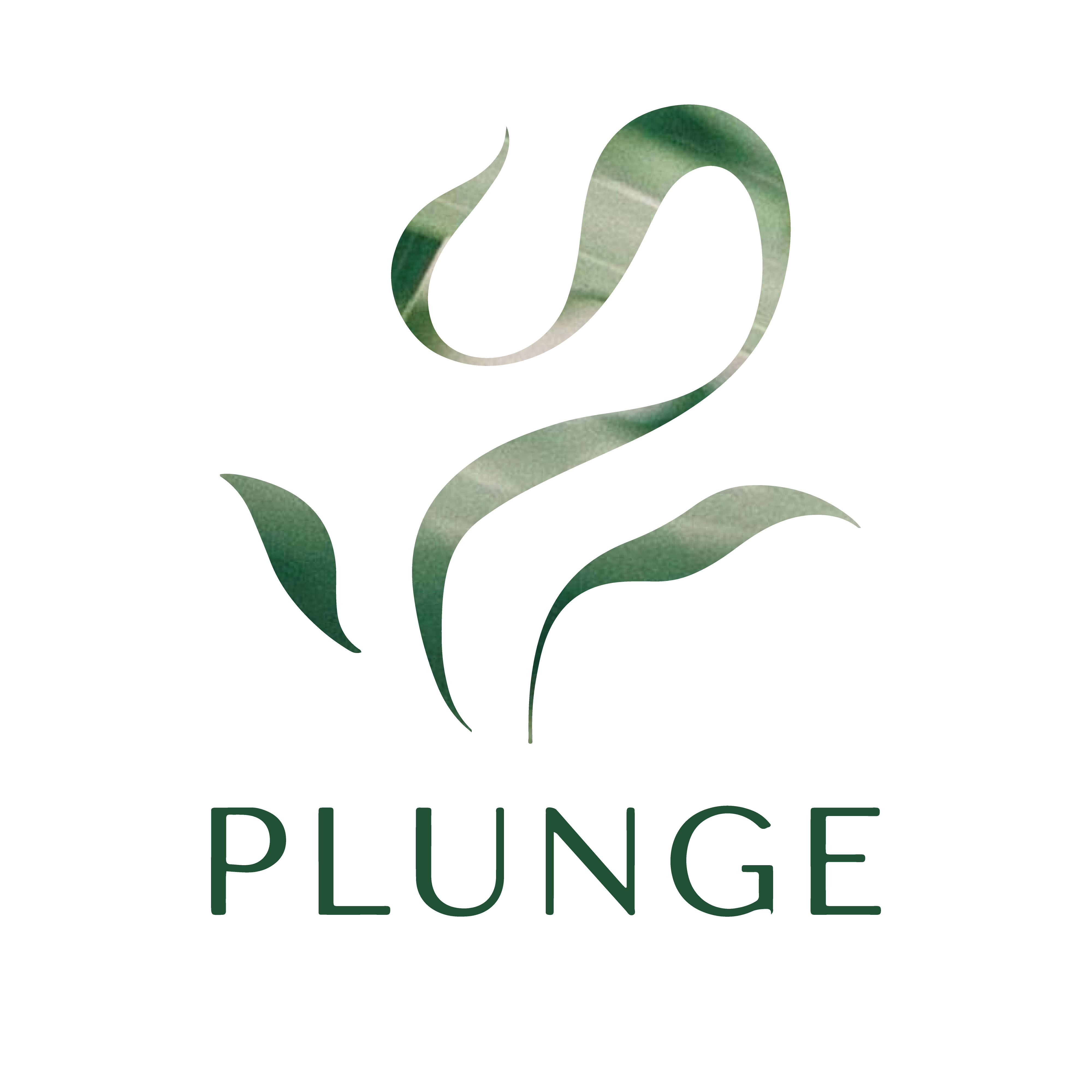 Plunge Project 